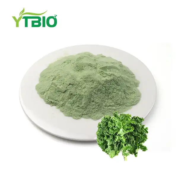 Why Kale Powder is Essential for Antioxidant Protection and Skin Care? Why Kale Powder is Essential for Antioxidant Protection and Skin Care?